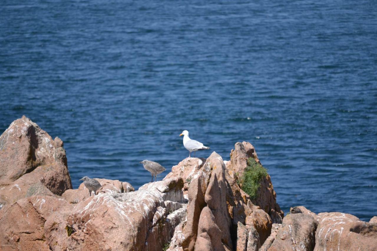 Gite De La Marina Dans La Presqu'Ile De Lézardrieux Εξωτερικό φωτογραφία
